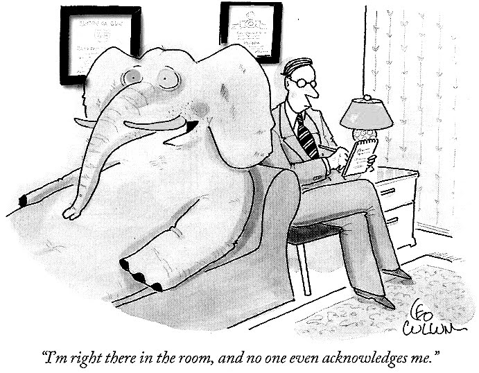 Source: http://usafamilymedicine.files.wordpress.com/2014/03/elephant-in-the-room.jpg