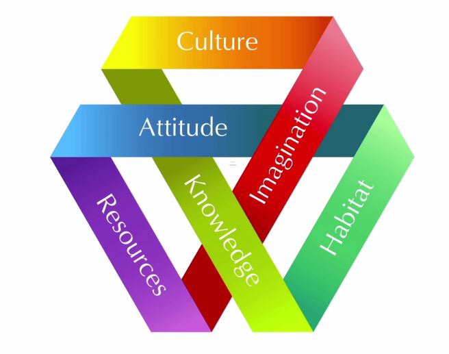 The Innovation Engine 