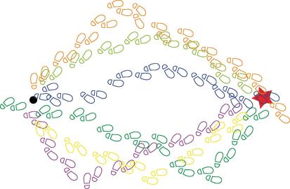  “To the point with DT” Image by B. Hiiri