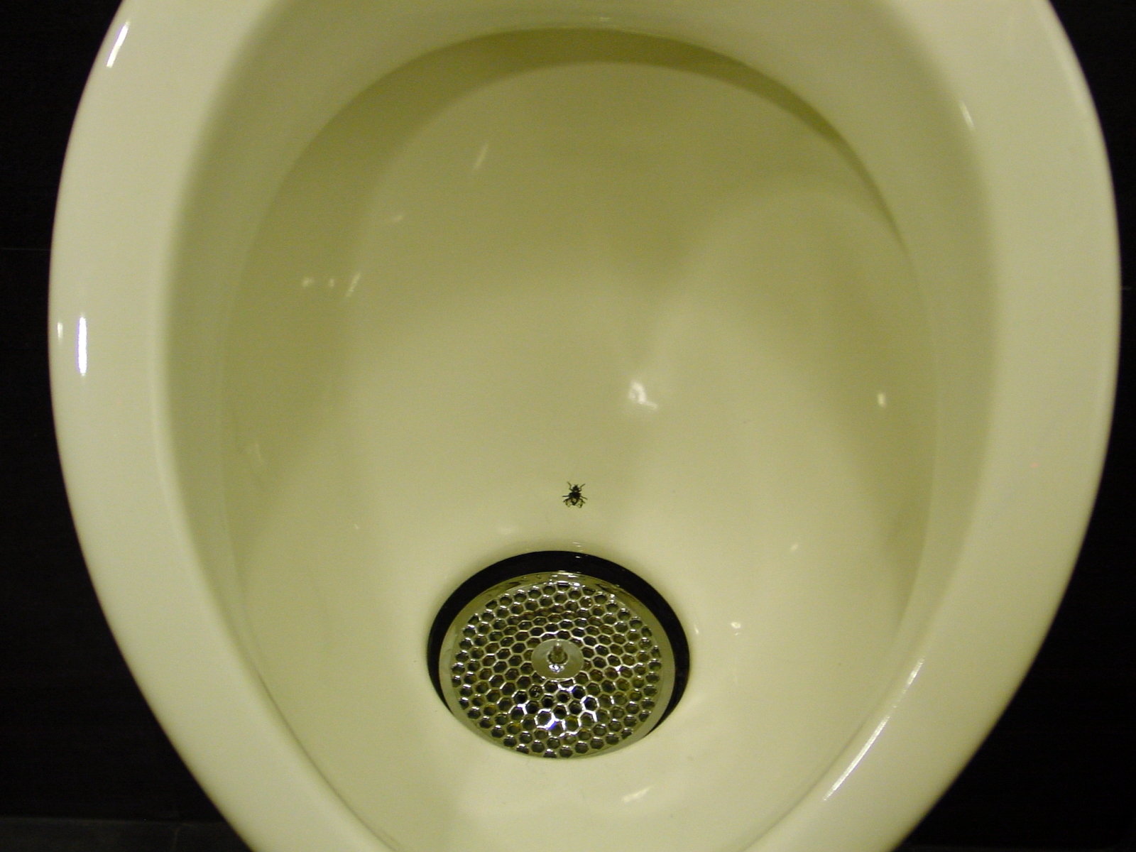 Urinal_Fly.JPG